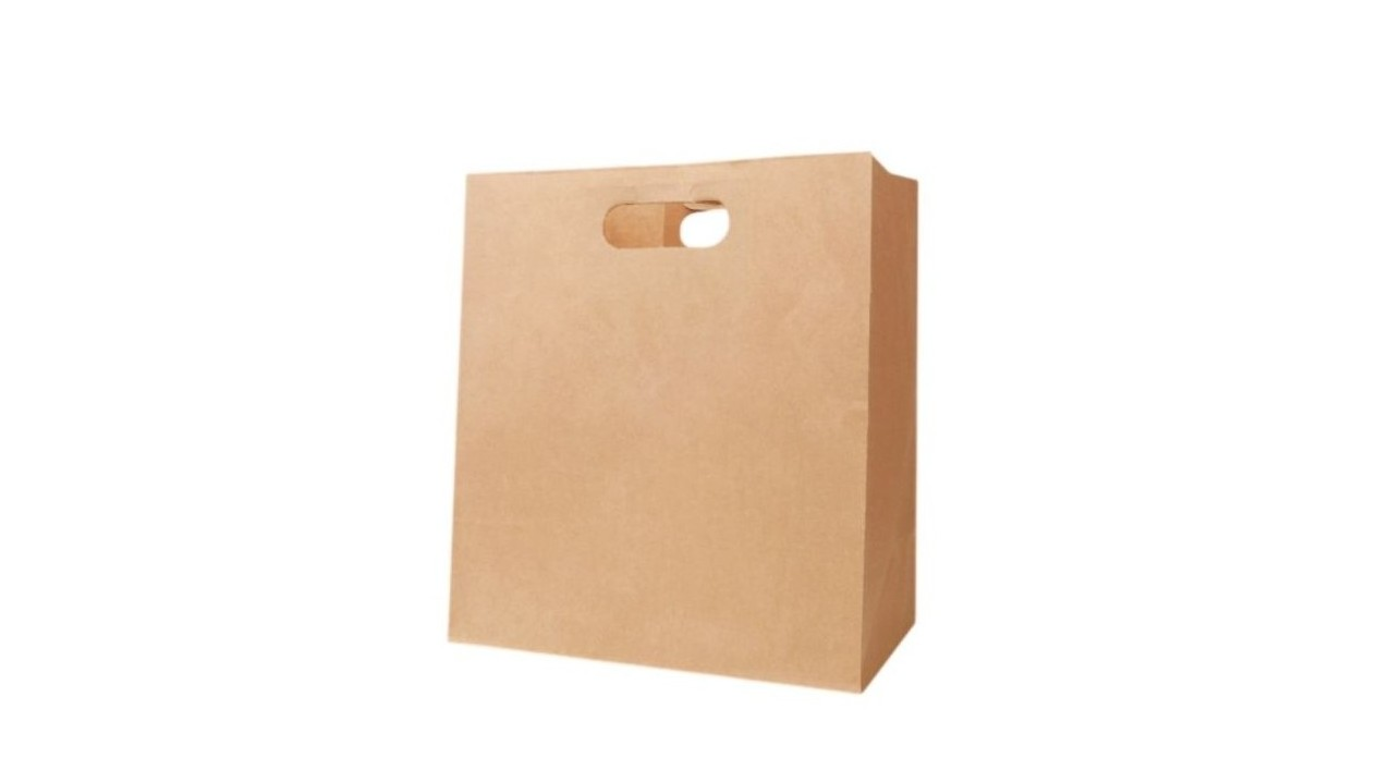 KRAFT DIE CUT HANDLE BAGS 
