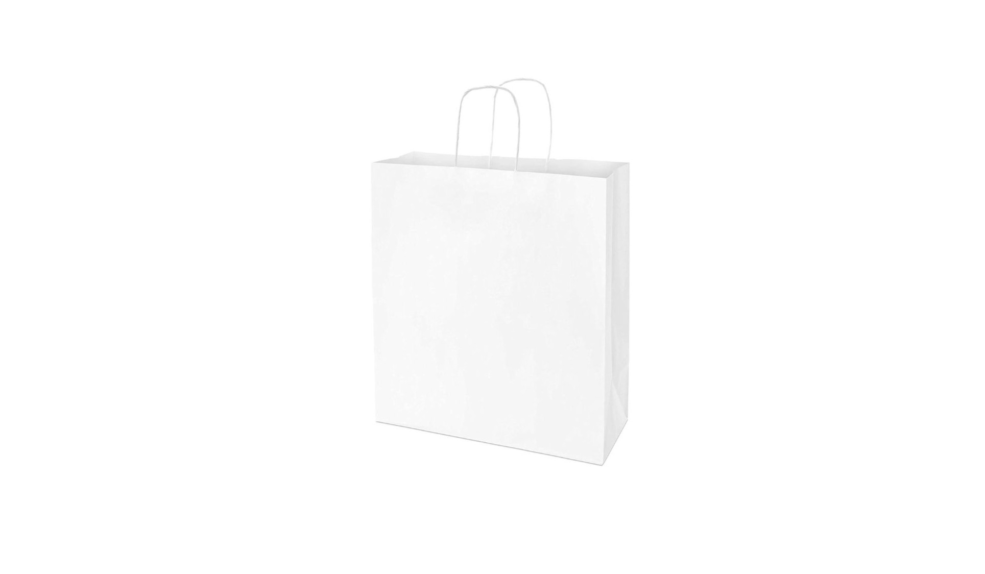 TWISTED HANDLE PAPER BAG LARGE