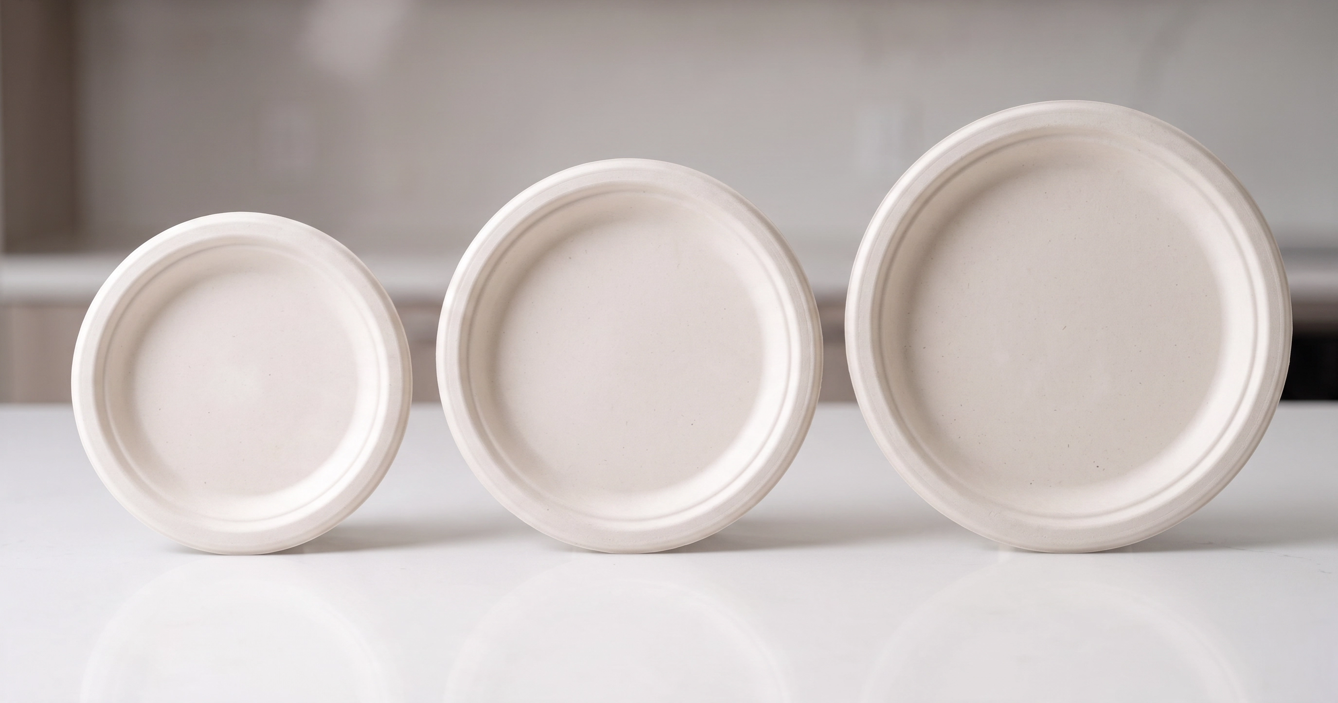BIODEGRADABLE PLATES