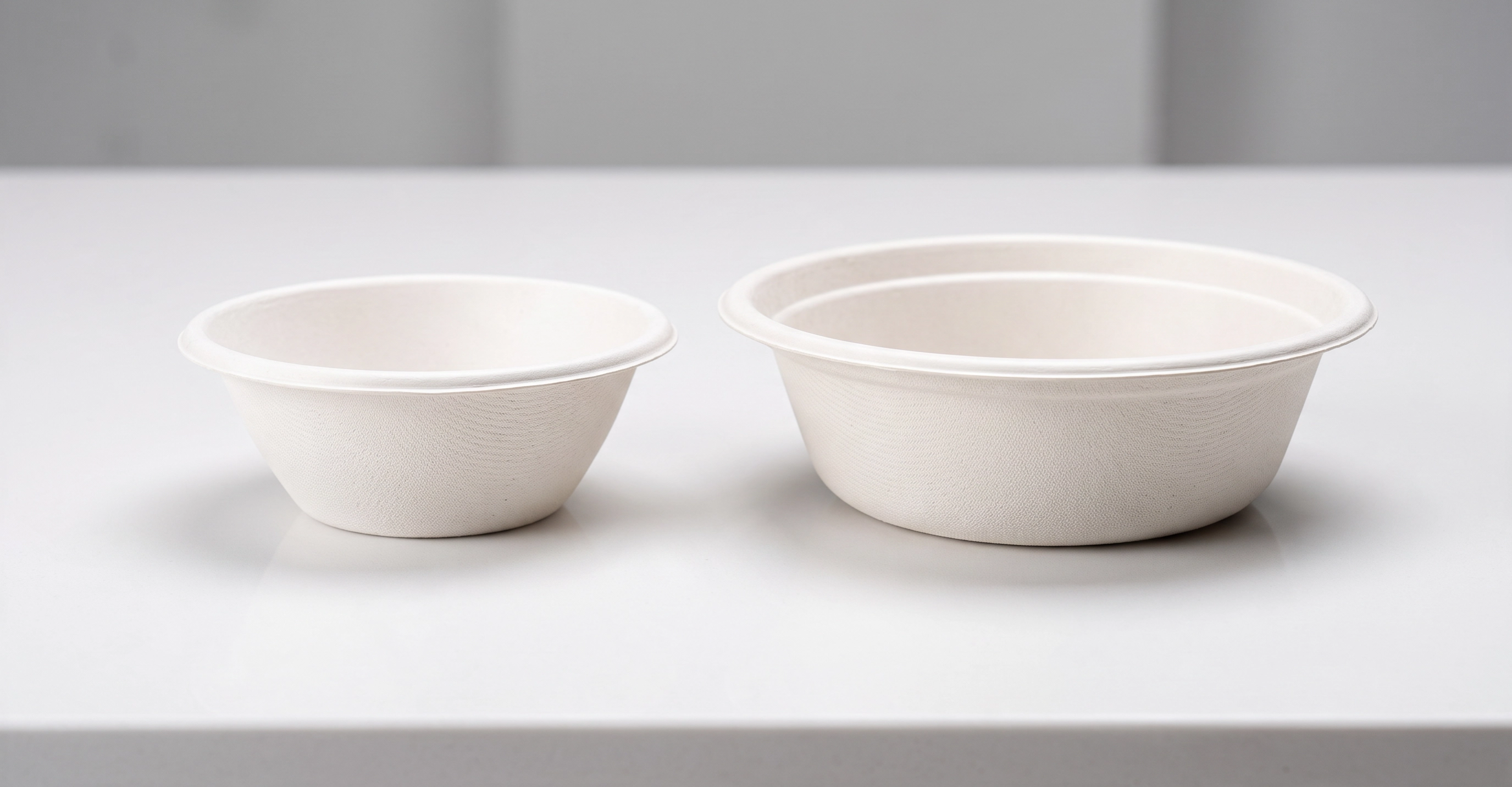 BIODEGRADABLE BOWLS