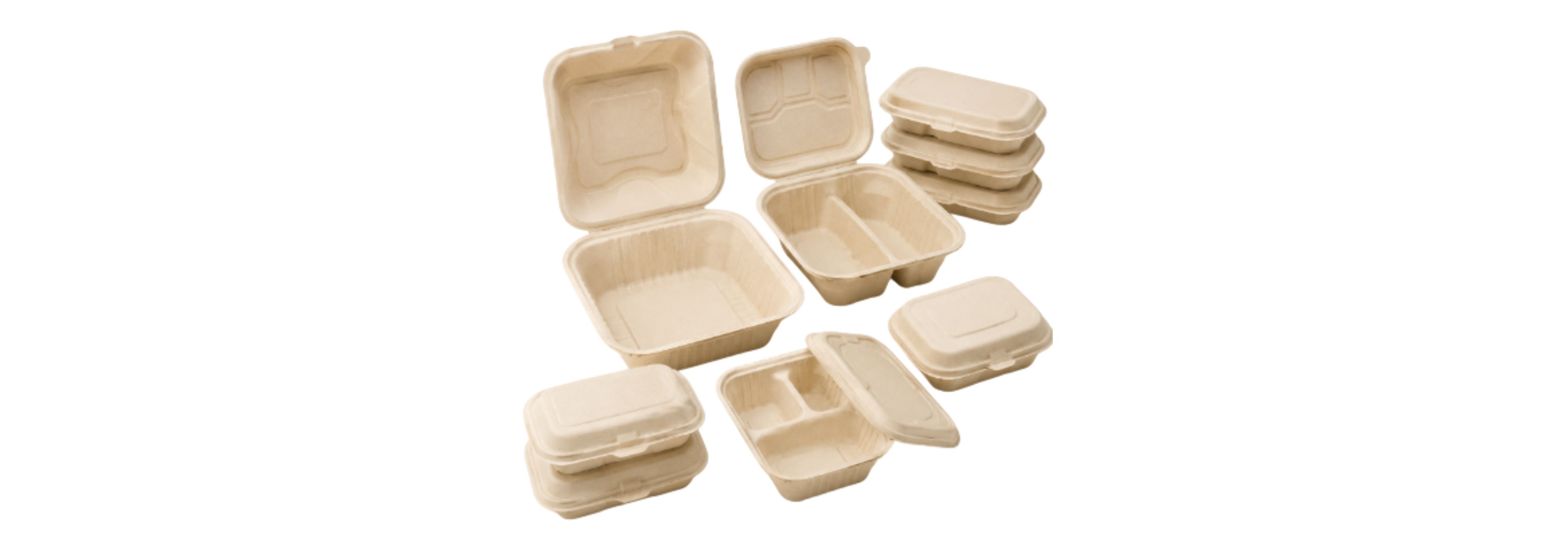 Biodegradable Food Container 